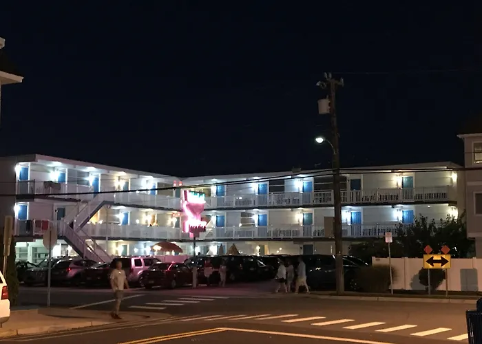 Bird Of Paradise Motel